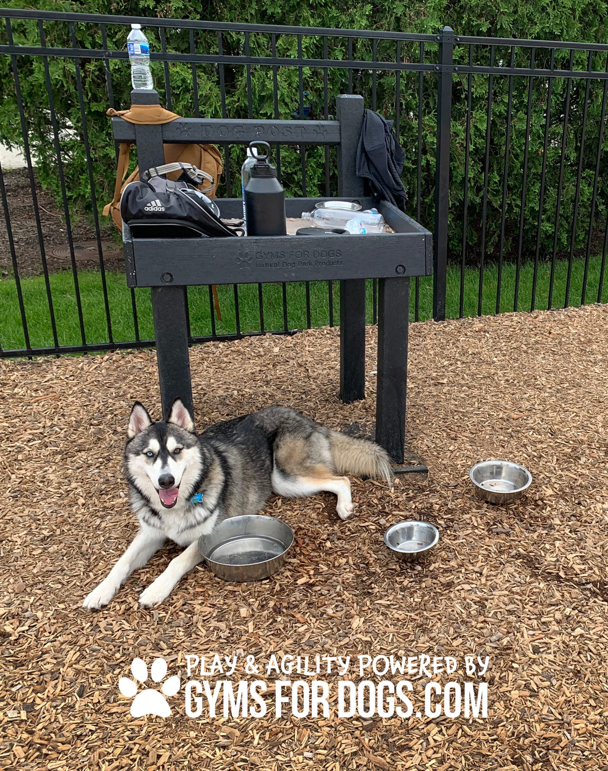 TheDogPost LeashPost CT3 scaled 1 - Dog Park Fitness TheDogPost LeashPost CT3 scaled 1