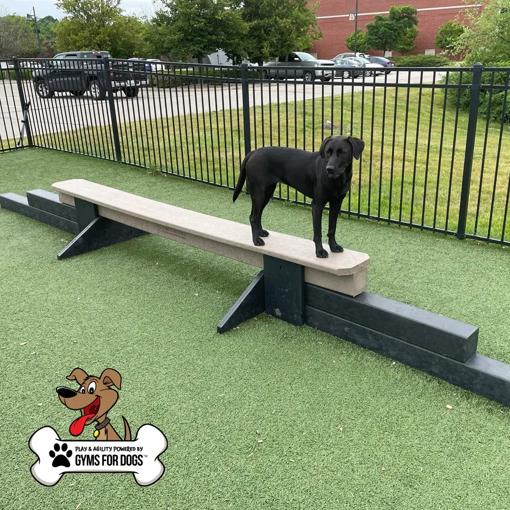 dog park equipment jump balance beam 01 - Dog Park Fitness dog park equipment jump balance beam 01