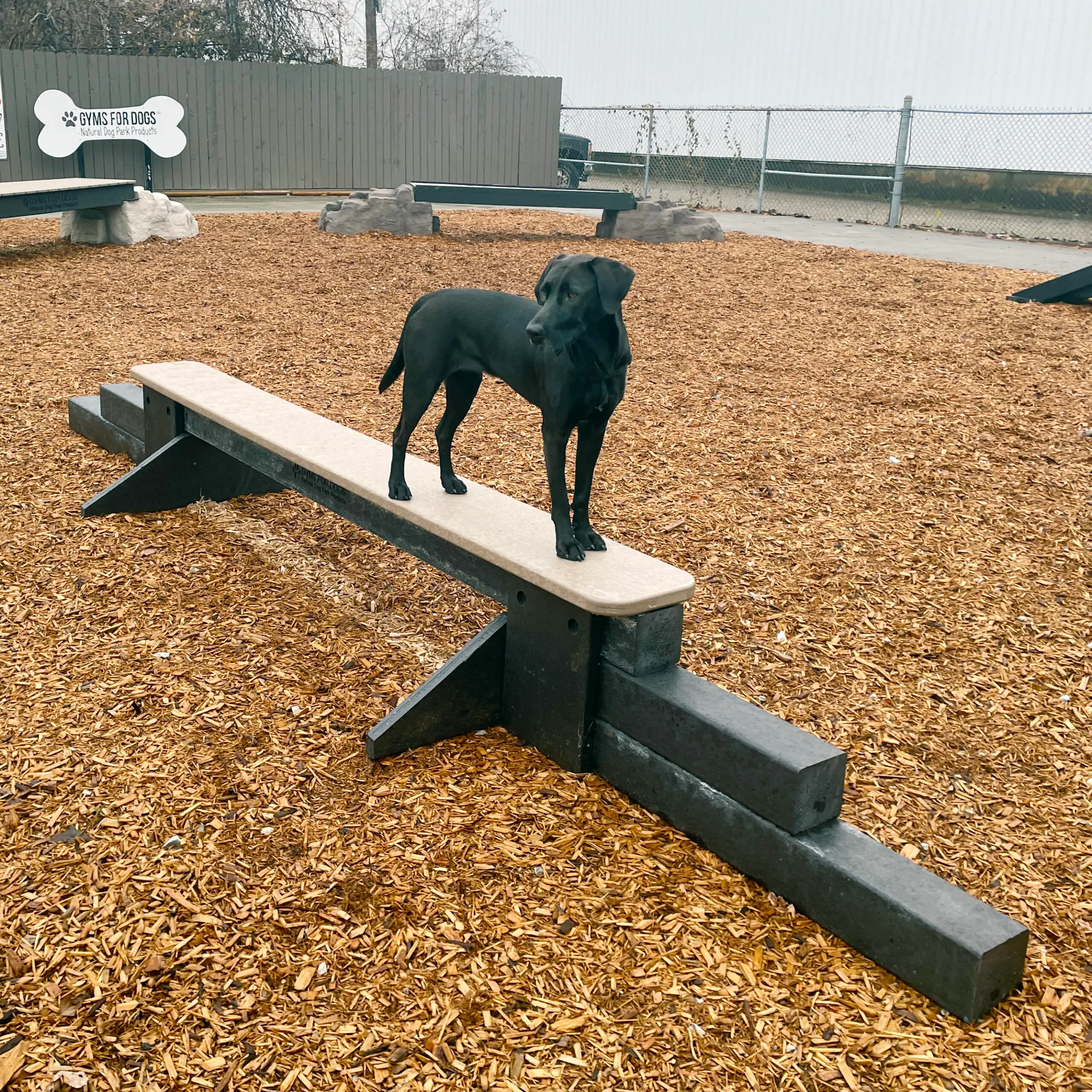 dog park equipment jump balance beam 06 scaled - Dog Park Fitness dog park equipment jump balance beam 06 scaled