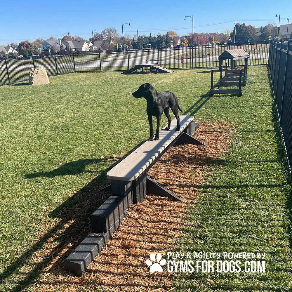 dog park equipment jump balance beam 08 - Dog Park Fitness dog park equipment jump balance beam 08