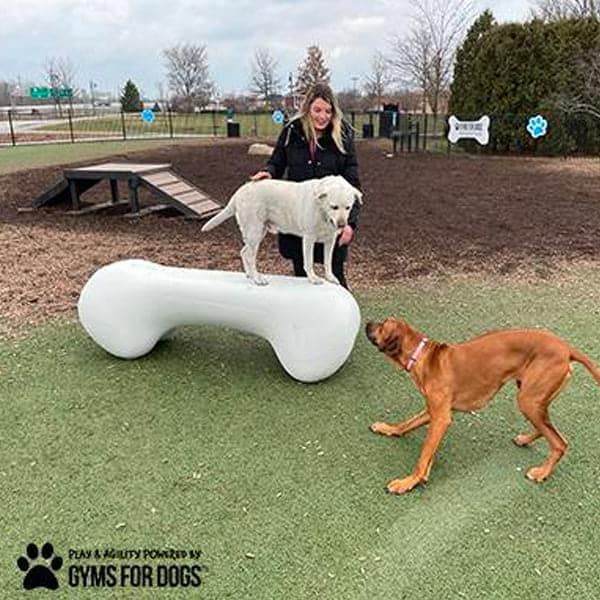dog playground equipment agility bone