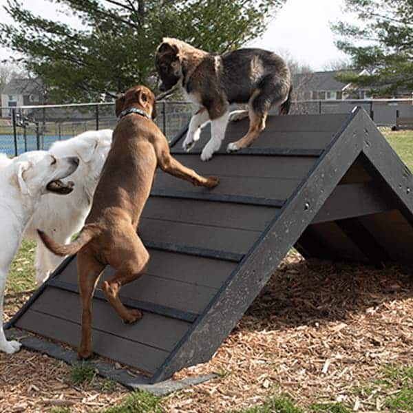 dog playground equipment hill climb